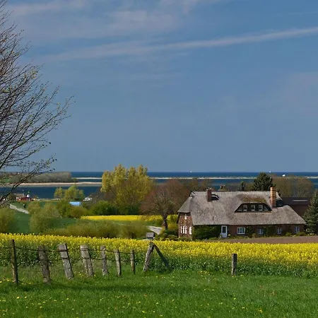 Hof Brinker - Kuhstall *